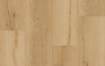  Collection FIRMFIT 5mm
