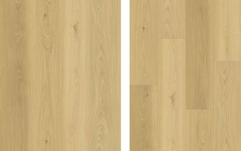  Collection FIRMFIT 5mm
