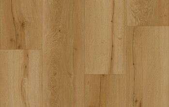  Collection FIRMFIT 5mm