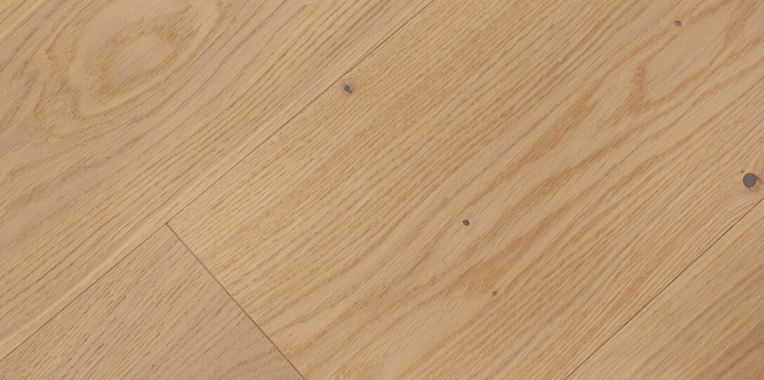 Oak forest