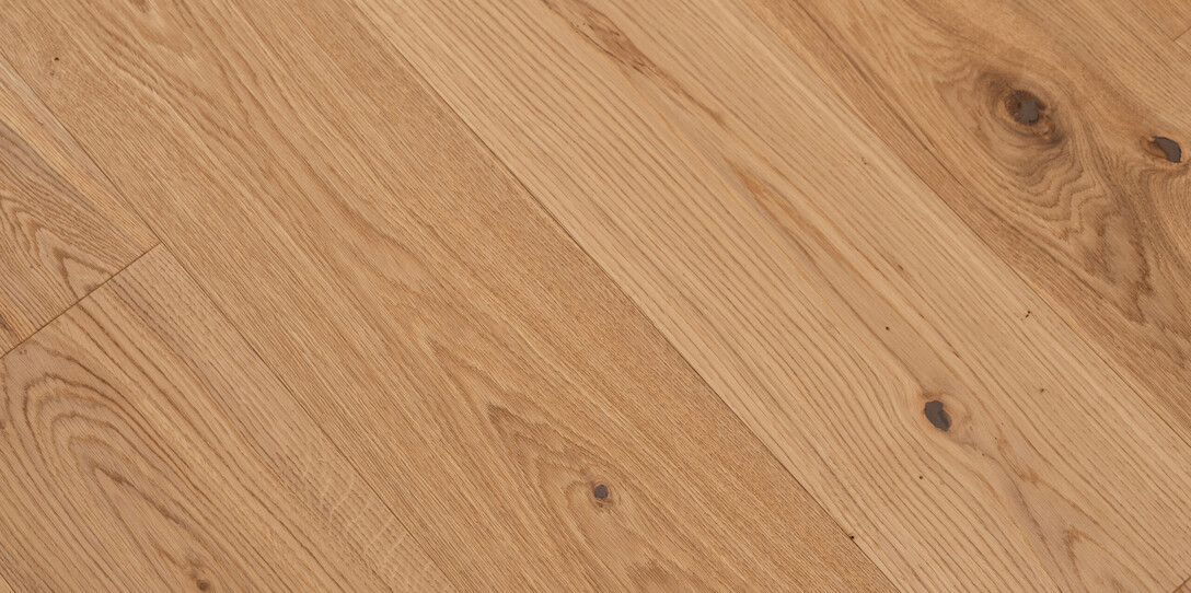 Oak forest